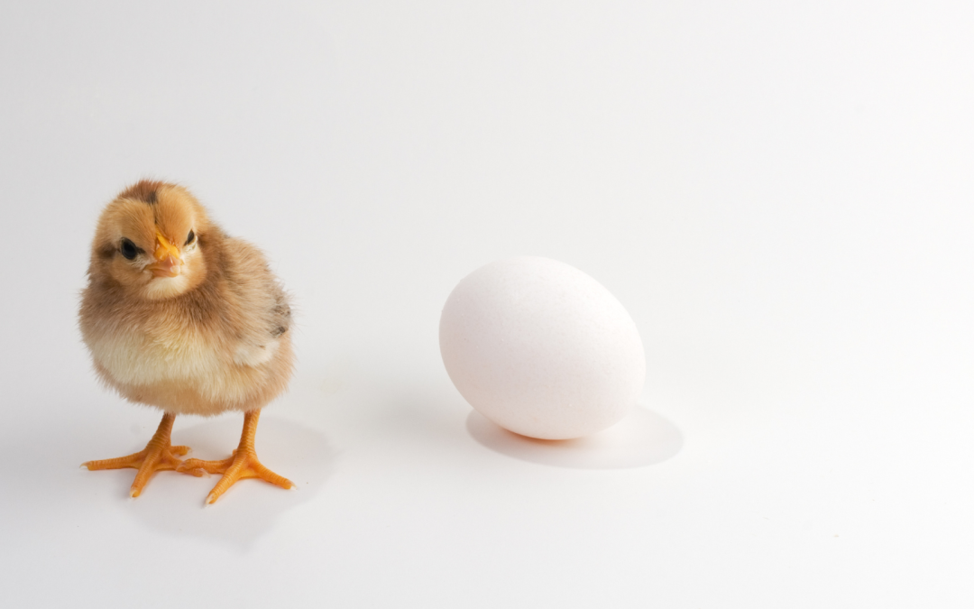 What Comes First: Getting a Mortgage or Making an Offer?